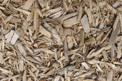 biomass boilers Llandegfan